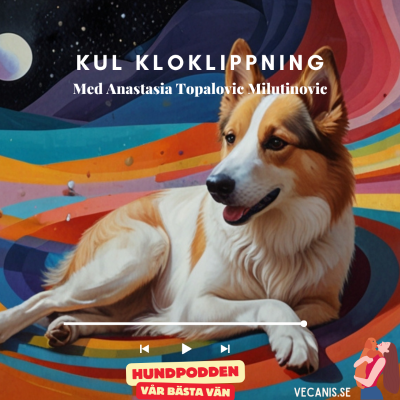 episode Kul kloklippning artwork