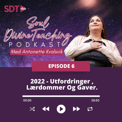 episode 2022 - Utfordringer, lærdommer og gaver. artwork