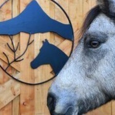 episode Connemara Pony Heritage Centre artwork