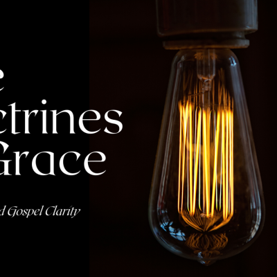 episode The Doctrines of Grace | Perseverance artwork