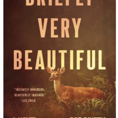 episode Episode 765: Roz Dineen - Briefly Very Beautiful: A Novel artwork