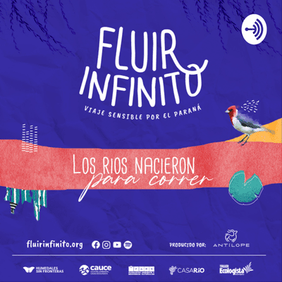 episode Capítulo 1 - Fluir Infinito artwork