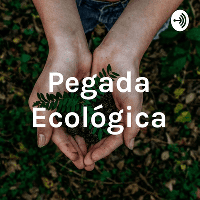 Pegada Ecológica