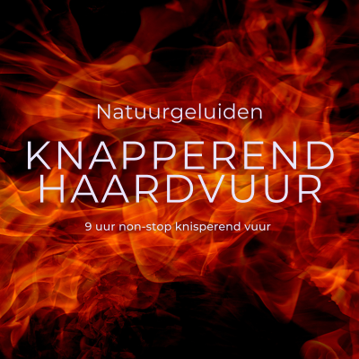 episode #79 Hele nacht slapen met knapperend haardvuur, natuurgeluid, rustgevend, diepe ontspanning, knisperend, knetterend vuur, 9 uur lang, bruine ruis, brown noise, kampvuur, houtvuur artwork