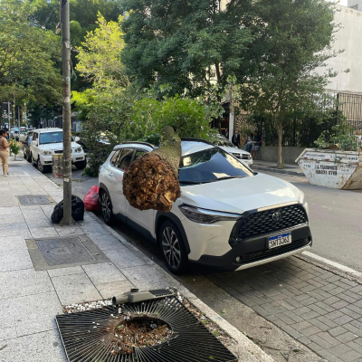 episode 1,4 milhão de imóveis seguem sem energia em São Paulo após ventania artwork