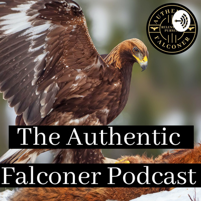 episode Episode # 009 Casey Everrett artwork