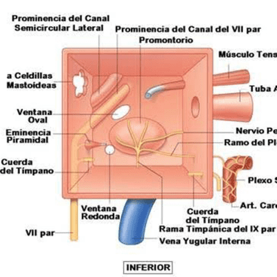 episode Oído medio e interno con Ejemplo explicativo. artwork