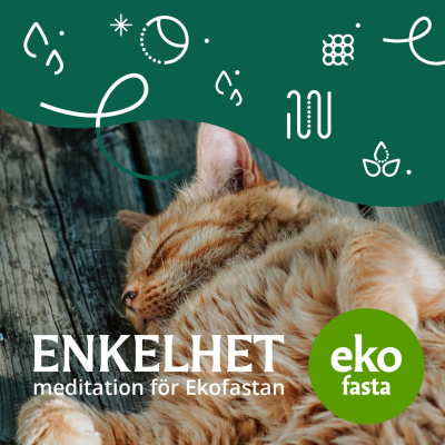 episode ENKELHET meditation för Ekofastan artwork