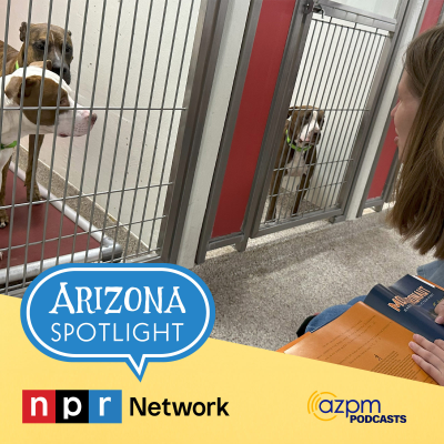 episode The A.R.F.F. Program: How shelter dogs are helping people living with aphasia artwork