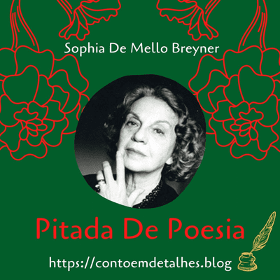 episode #20 O poema - Sophia De Mello Breyner. artwork