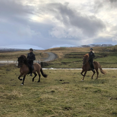 episode Horse breeding farm Saurbær with Heiðrún Ósk Eymundsdóttir and Pétur Örn Sveinsson artwork