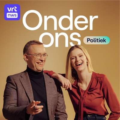 episode "De Stemming": politicoloog Walgrave geeft meer uitleg artwork