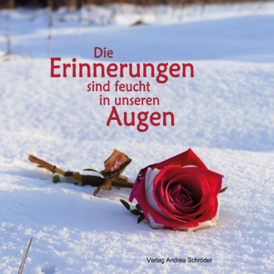 episode Tom Leser-Fox im Interview artwork