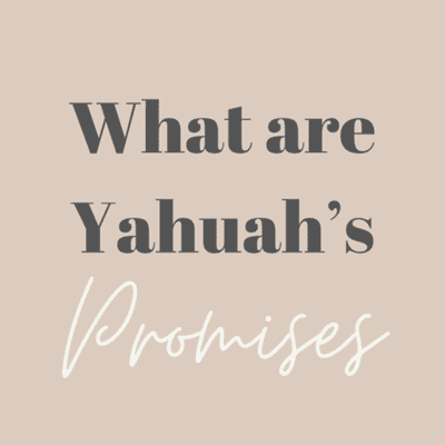 episode EP: 5 What are Yahuah’s Promises pt2 artwork