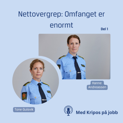 episode #1 - Omfanget er enormt artwork