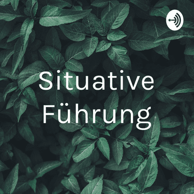 Situative Führung