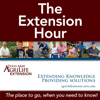 episode 9.10.21 – “Hope” – The Extension Hour artwork