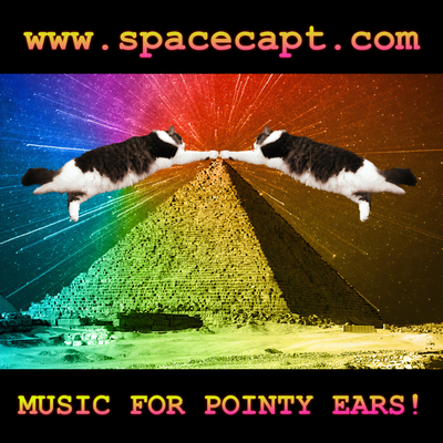 Space Capt