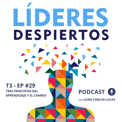 episode #29 Tres principios del aprendizaje y el cambio artwork