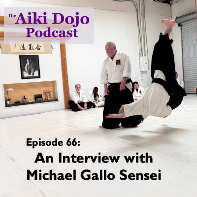 episode An Interview with Michael Gallo Sensei artwork