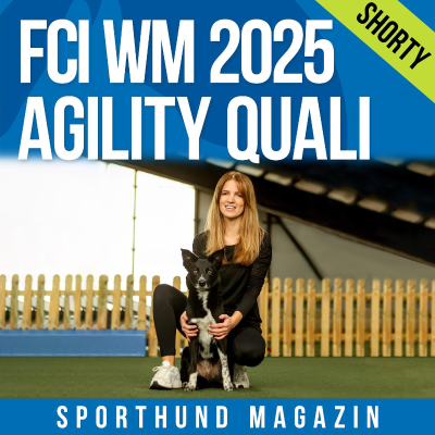episode Shorty: FCI WM 2025 Agility Quali - Bozena Plaẞmann artwork