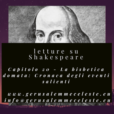 episode Capitolo 20 - La bisbetica domata: Cronaca degli eventi salienti artwork