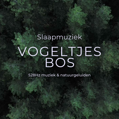 episode #82 Slaapmuziek met zingende vogeltjes in het bos, 528Hz-muziek en natuurgeluiden voor rust, ontspanning, diepe slaap artwork