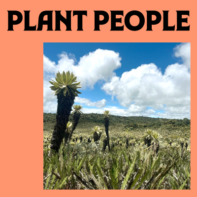 episode Ecotourism: Inspiring a Plant-Powered Economy artwork