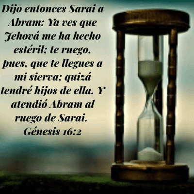 episode "La Espera Desespera" Génesis 16:1-16. artwork