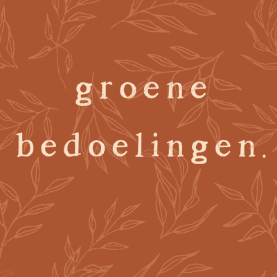 episode #1 Sacha Handgraaf - oprichter Sustainable Inspiration over het ontwikkelen van een duurzame mindset artwork