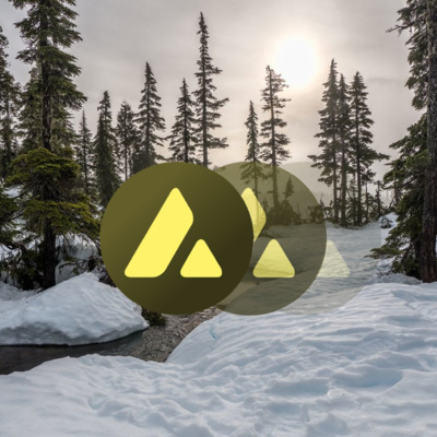 episode Crypto traden via Avalanche blockchain artwork