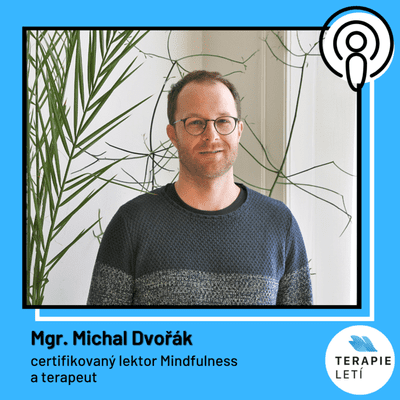 episode Terapie Letí #11: Mgr. Michal Dvořák - Mindfulness proti stresu artwork