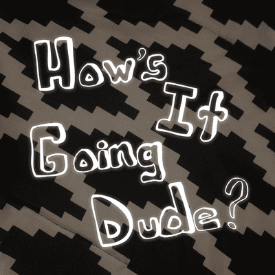 How's It Going Dude?