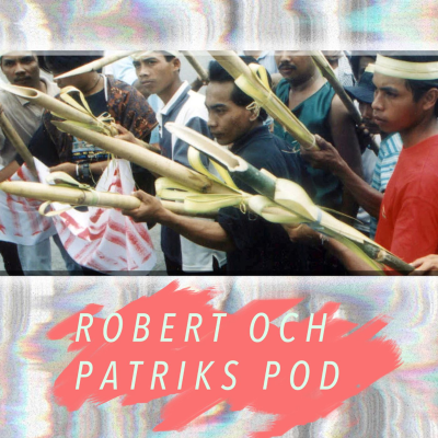 episode Trollkarlsslakten i Banyuwangi artwork