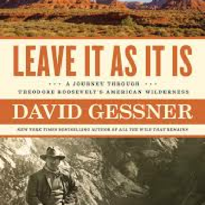 Leave It As It Is David Gessner