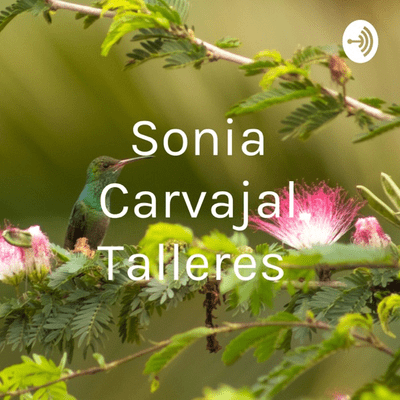Sonia Carvajal Talleres
