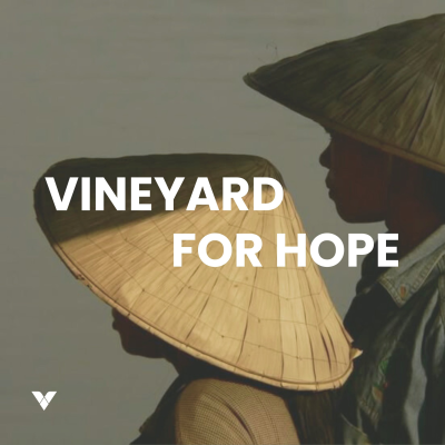 episode Vineyard for hope I 15. juni 2025 artwork