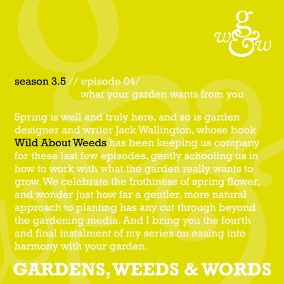 episode S03.5 Episode 4: What your garden wants from you artwork