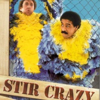 episode Stir Crazy artwork