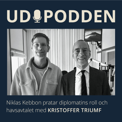 episode #39 Diplomatins roll och internationella förhandlingar artwork