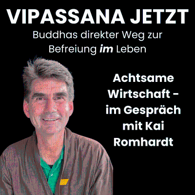 episode Vipassana Jetzt Podcast - Achtsame Wirtschaft - Im Gespräch mit Kai Romhardt artwork