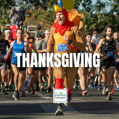 episode How to Have a Delicious and Stress-Free Plant-Based Thanksgiving (Encore Run) artwork