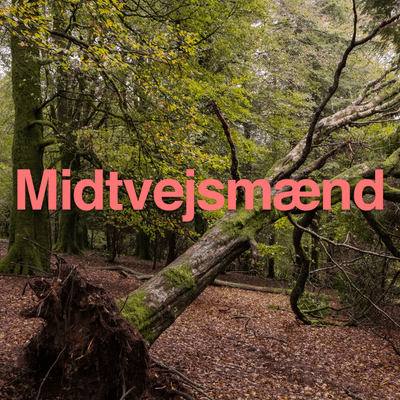 Midtvejsmænd – en podcast for mænd midtvejs i livet