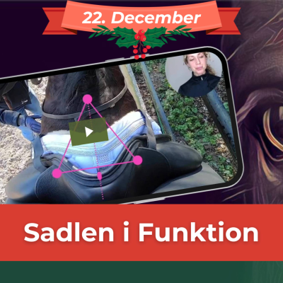 episode SADLEN I FUNKTION (22. dec) Sidder sadlen korrekt? - Og hvordan ser du det, når du sidder i den? artwork