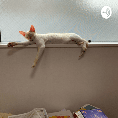 Imagen de portada del espectáculo Makiko Haragi