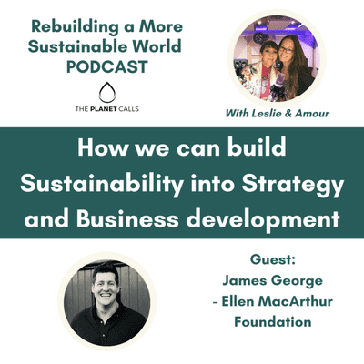 episode How we can build Sustainability into Strategy and Business development artwork