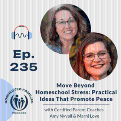 episode Move Beyond Homeschool Stress: Practical Ideas That Promote Peace artwork