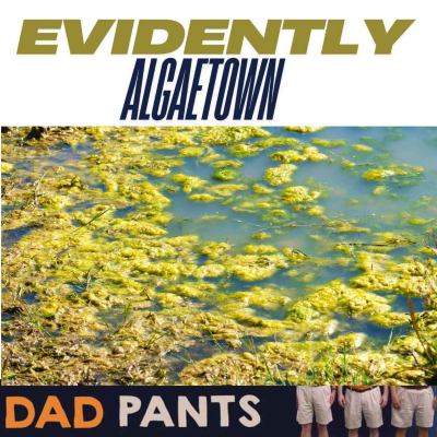 episode Evidently Algaetown artwork