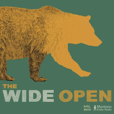 episode The Wide Open artwork