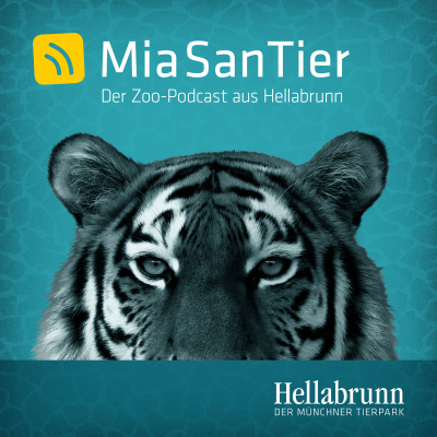 episode Zwei neue Rüssel - Rani und Savani sind da artwork